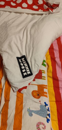 IMG_20250610_221550.jpg