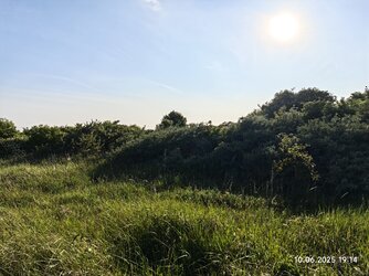 IMG_20250610_191457.jpg