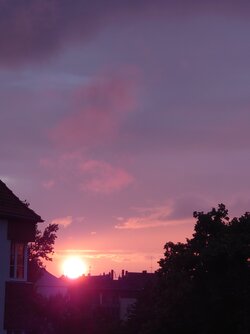 20250610_210239.JPG