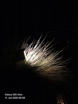 20250611_005844.jpg