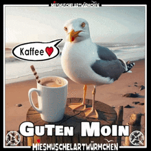 1749619538881.gif