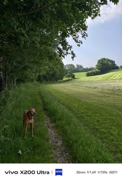 IMG_20250611_085349.jpg