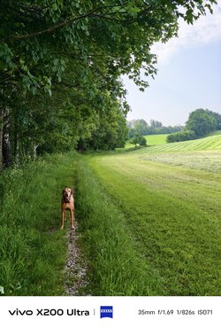 IMG_20250611_085417.jpg