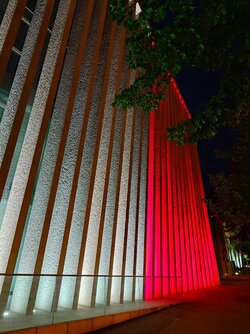 20250519_220945.JPG