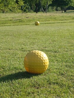 20250513_180620.JPG