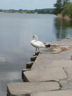 20250524_142819.JPG