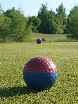 20250513_180403.JPG