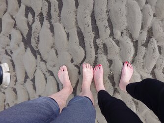 20250426_162816.JPG