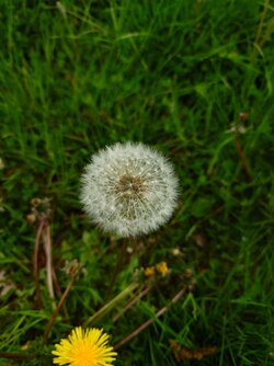 20250503_141404.JPG