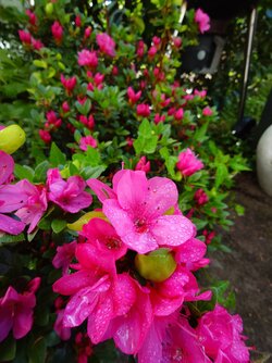 20250506_105836.JPG