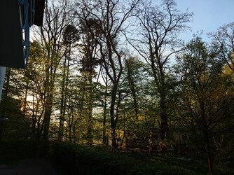 20250420_193615.JPG