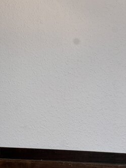 IMG_0435.jpeg