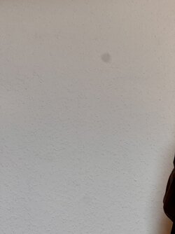 IMG_0434.jpeg