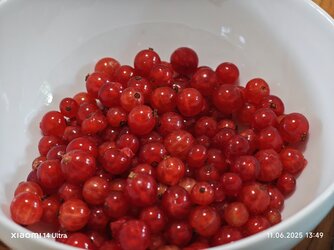 IMG_20250611_134945.jpg