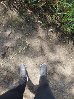 20250611_141230.JPG