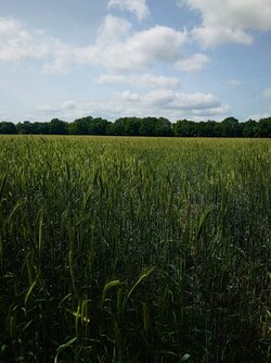 20250611_141041.JPG
