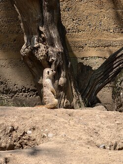 20D5BEB6-385C-4086-8EEF-30CB665C7E03.jpeg