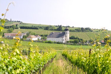 IMG_20250610_093120-Verbessert-RR-2.jpg