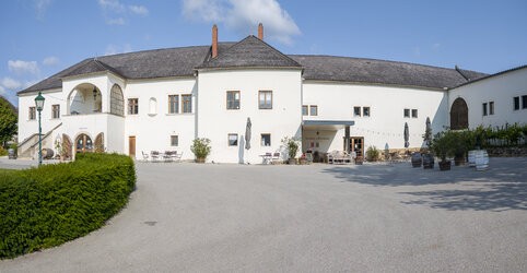 IMG_20250609_082906-Pano-Verbessert-RR.jpg