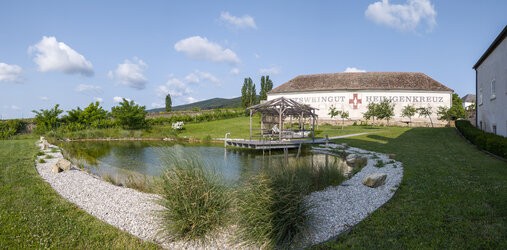 IMG_20250609_083329-Pano.jpg