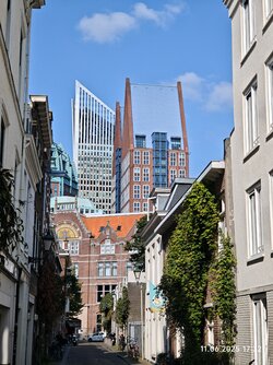 IMG_20250611_173257.jpg