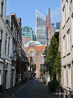 IMG_20250611_173309.jpg