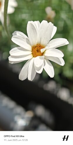 IMG20250611123514_081827.jpg