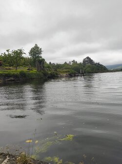 IMG_20250611_184420698.jpg