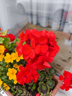 IMG_20250610_205613244.jpg