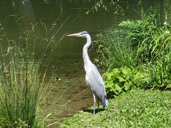 IMG_20250611_140037471_HDR.jpg
