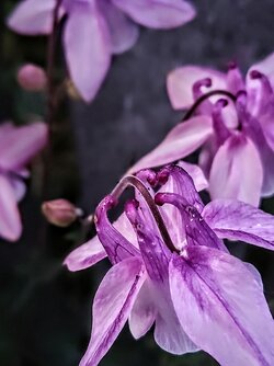 IMG20250611213633~2.jpg