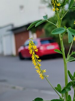 IMG20250611213118~2.jpg