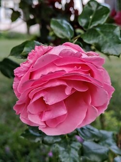IMG20250611212739~2.jpg