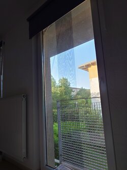 20250612_063743.JPG