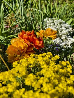IMG_20250429_094035.jpg