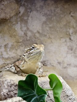IMG_20250526_175748.jpg