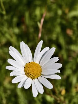 IMG_20250531_110853.jpg