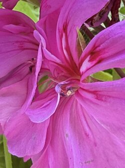 IMG_3836.jpeg