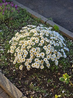 20250530_200043.jpg