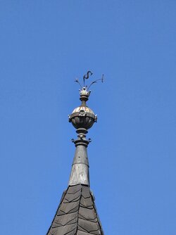 20250331_144832.jpg