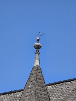 20250331_144814.jpg