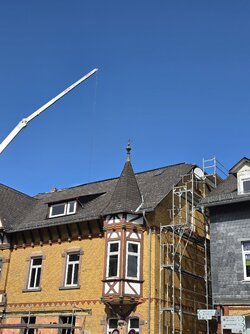 20250331_145019.jpg
