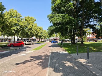 IMG_20250612_165049.jpg