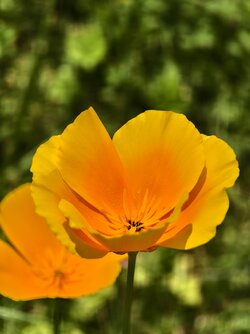 IMG_20250612_131940.jpg