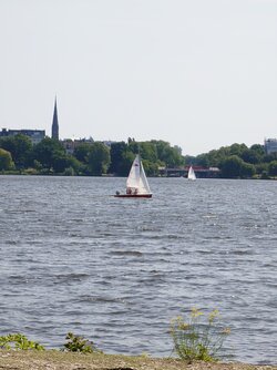 20250613_104823540.JPG