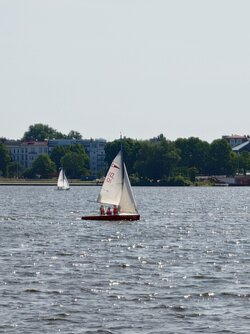 20250613_104906932.JPG