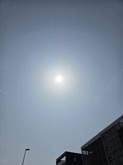 20250613_110156.jpg