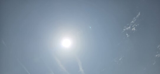 20250613_112922.jpg