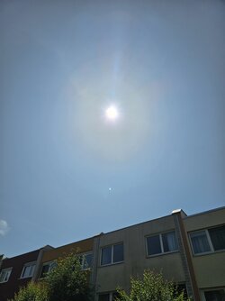 20250613_115356.jpg