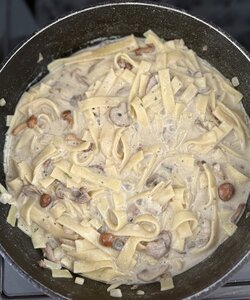 IMG_0989.jpeg